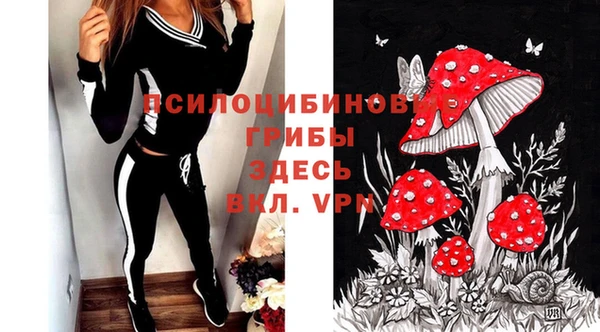 молекула духа Алексеевка